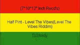 Half Pint  Level The VibesLevel The Vibes Riddim [upl. by Peisch425]