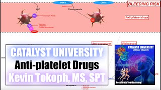 Antiplatelet Medications  Mechanisms of Action [upl. by Chamberlin929]