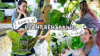 🔔 2 Hours Of Houseplant REHAB 🌱 Repotting Propagating Styling Rehabbing  Organising Plants [upl. by Lyle]