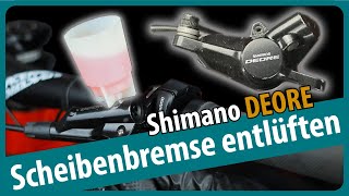 Shimano DEORE Scheibenbremse entlüften  warten  servicieren  M6000  Schritt für Schritt [upl. by Fleisher]