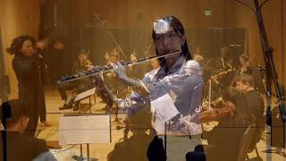 Devienne Flute Concerto First Movement [upl. by Concoff]