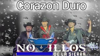 Corazon Duro  Novillos De La Sierra En Vivo [upl. by Sadnac]