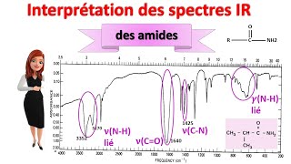 spectroscopie IR 11  partie 4  comment interpréter le spectre IR des amides [upl. by Particia219]