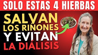 Dr Barbara ONeill dice Solo 4 mejores hierbas naturales para tus riñones para evitar la diálisis [upl. by Ile]