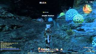 Lets Play  Final Fantasy XIV  Part 30  Shposhae Dungeon [upl. by Htrahddis]