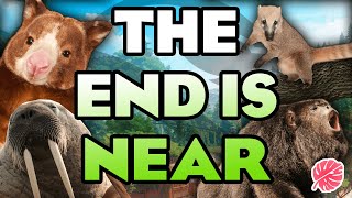 ⏰ What Animals Are MISSING From Planet Zoo Before It Ends [upl. by Adnana]