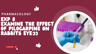 Study the Effect of Pilocarpine in Rabbits eye Exp 8 pharmacology practical pharmacy pharmacology [upl. by Tish798]