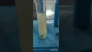 Reaction of Silver Nitrate with Copper  Displacement Reaction [upl. by Neelram]