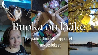 Parin viikon tulehdusta vähentävän ruokavalion mukaiset ostokset  kissat 10 v  ok lenkkimaisemat [upl. by Aldis]