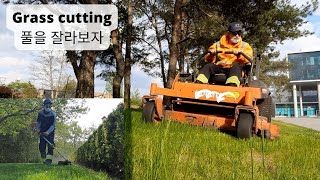 S115 Grass cutting  잔디 깎는 방법 장비 소개 캐나다 조경 일🌳영상 장비Zeroturn Push mower Line trimmer KORENG [upl. by Nylrad203]