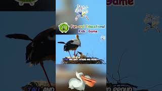 The Stork Song  Fun Animal Songs for Kids  EduFam Nursery Rhymes [upl. by Bartholomeus]