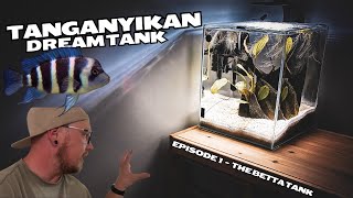 Episode 1  The Betta Tank [upl. by Stirling]