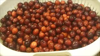 How to Dehydrate Fresh Cranberries [upl. by Alastair769]