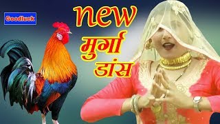 असमीना का न्यू मुर्गा डांस Mewati song asmina  Goodluck Media [upl. by Eisned]