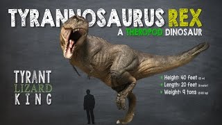 Tyrannosaurus Rex Facts A Dinosaur Facts video about Tyrannosaurs Rex also called TRex [upl. by Merchant]