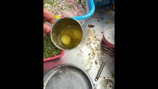 Special Cheesy Bread Omlet Recipe 😍  indian street food  street food india  egg recipes [upl. by Bevan632]