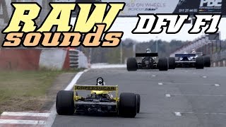 RAW sounds  Classic DFV F1 cars Zolder 2016 [upl. by Duthie704]