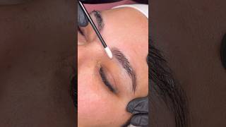 Brow lamination  tint over old ombré brows 🫐💛 brows browsbybrecia tutorial shorts [upl. by Wilt821]