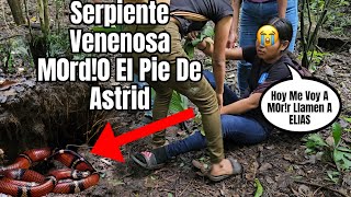 Astrid Cayó En La Cueva De Una Tremenda Serpiente🐍Toñita Captó La TerribIe Tr4gedia [upl. by Taryn]