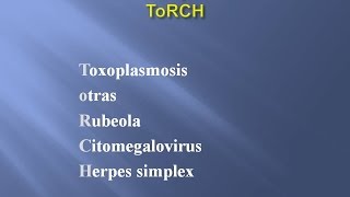 Dr Enrique Orchansky  infecciones perinatales ToRCH [upl. by Aras]