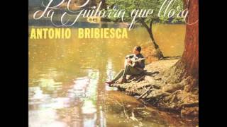 DEJAME LLORAR ANTONIO BRIBIESCA Y SU GUITARRA [upl. by Idolah]