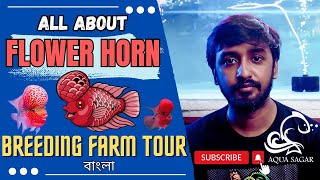 FLOWER HORN  BREEDING FARM TOUR  FACTS amp CARE [upl. by Gussie170]