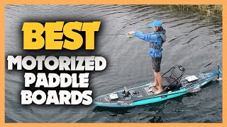 10 Best Motorized Paddle Boards 2023 [upl. by Efeek724]