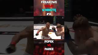 Freakowe Walki W Minutę 14 shorts famemma mma freakfight mma walki popek parke [upl. by Nomael922]