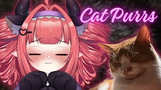 30 Mins Binaural Kitty Purrs 3DIO ASMR [upl. by Hcirteid]