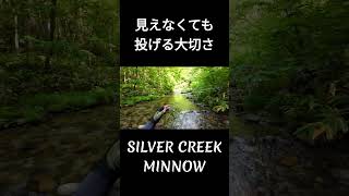 例え状況が読めなくても小まめに投げた方が良いらしい。渓流釣り 釣り ルアー [upl. by Ardnaxila883]