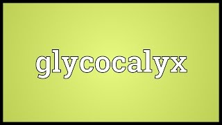 Glycocalyx Meaning [upl. by Cynera]