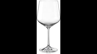 3ds Max Spline Modeling A Wine Glass very simple [upl. by Denae752]