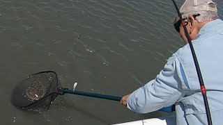 May 17th  20th 2022 Wachapreague Virginia Flounder Fishing [upl. by Jodie845]