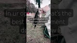 Wacky rig fishing outdoors bassfishing shorts [upl. by Ellocin]