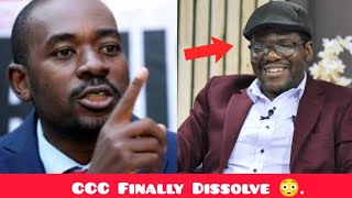 Tshabangu Dissolve Chamisa CCC Zvendwa 😳 [upl. by Eural]