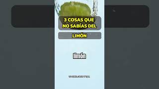 363 Dose diária de inspiração motivação e atitude positiva para transformar sua Vida [upl. by Nooj]