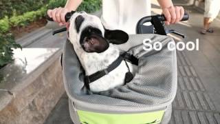 Petsfit Pet Carrier For Bicycle Small Dog Small Animal [upl. by Eidarb]