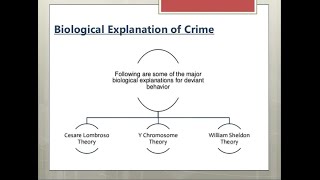 Lecture10 biological theory of criminologycsspms [upl. by Atekihc]