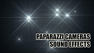 Paparazzi Camera Sound Effects 📸 Camera Sounds [upl. by Gefell]