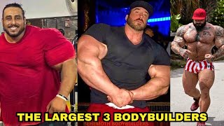 Meet The 3 Biggest Bodybuilders In The World [upl. by Yramesor]