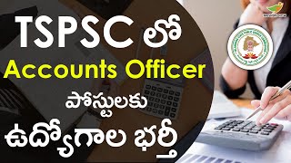 TSPSC Accounts Officer Recruitment 2023 Notification in Telugu  Vacancies Salary [upl. by Niryt]