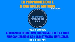 LA PROPRIOCEZIONE E IL CONTROLLO MOTORIO [upl. by Bail]