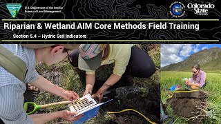 K Section 5 4 Hydric Soil Indicators [upl. by Arag]