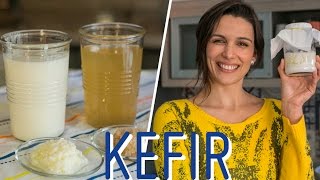 10 mitos sobre KEFIR tipos cuidados congelamento e mais [upl. by Paulo]