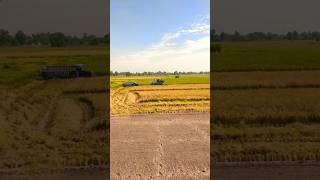 How can farming growth👨🏻‍🌾 LEASE SUBSCRIBE🙏🏻❤slowedreverb remix farmer agriculture farming [upl. by Clayborne]