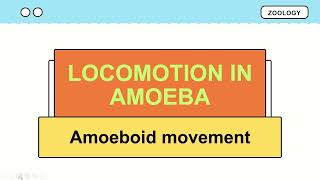 Locomotion in amoeba  Amoeboid movement [upl. by Ludlow]