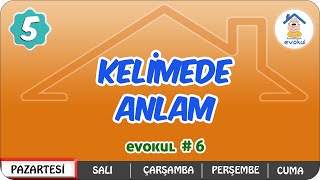 Kelimede Anlam  5Sınıf uzaktanegitim evokul Kampı [upl. by Minda]