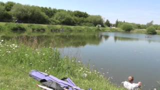 DAIWA HALLCROFT FISHERY amp CARAVAN PARK RETFORD NOTTINGHAMSHIRE [upl. by Rondi]