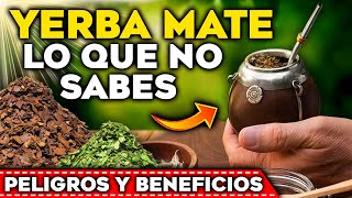 NO BEBAS MATE Los PELIGROS y BENEFICIOS de la YERBA MATE para tu SALUD  Como PREPARAR un MATE [upl. by Bonn355]