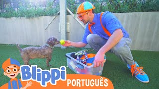 Aprenda sobre Animais com Blippi  Vídeos Educativos para Crianças  As Aventuras de Blippi [upl. by Eslek]